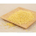 Proso Millet Gluten Free